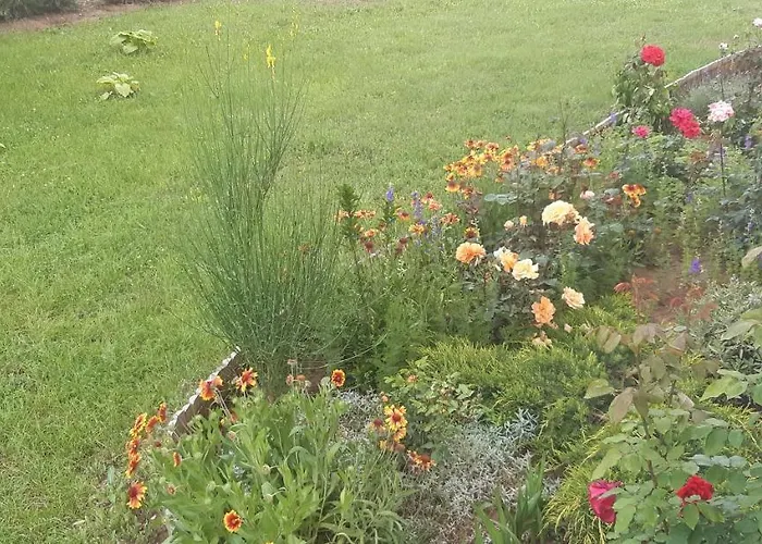 דירה Robert Apartmant